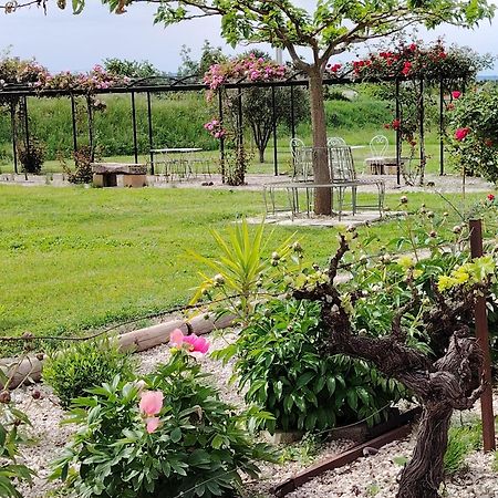 Gite En Provence "Rose" Modene Екстериор снимка