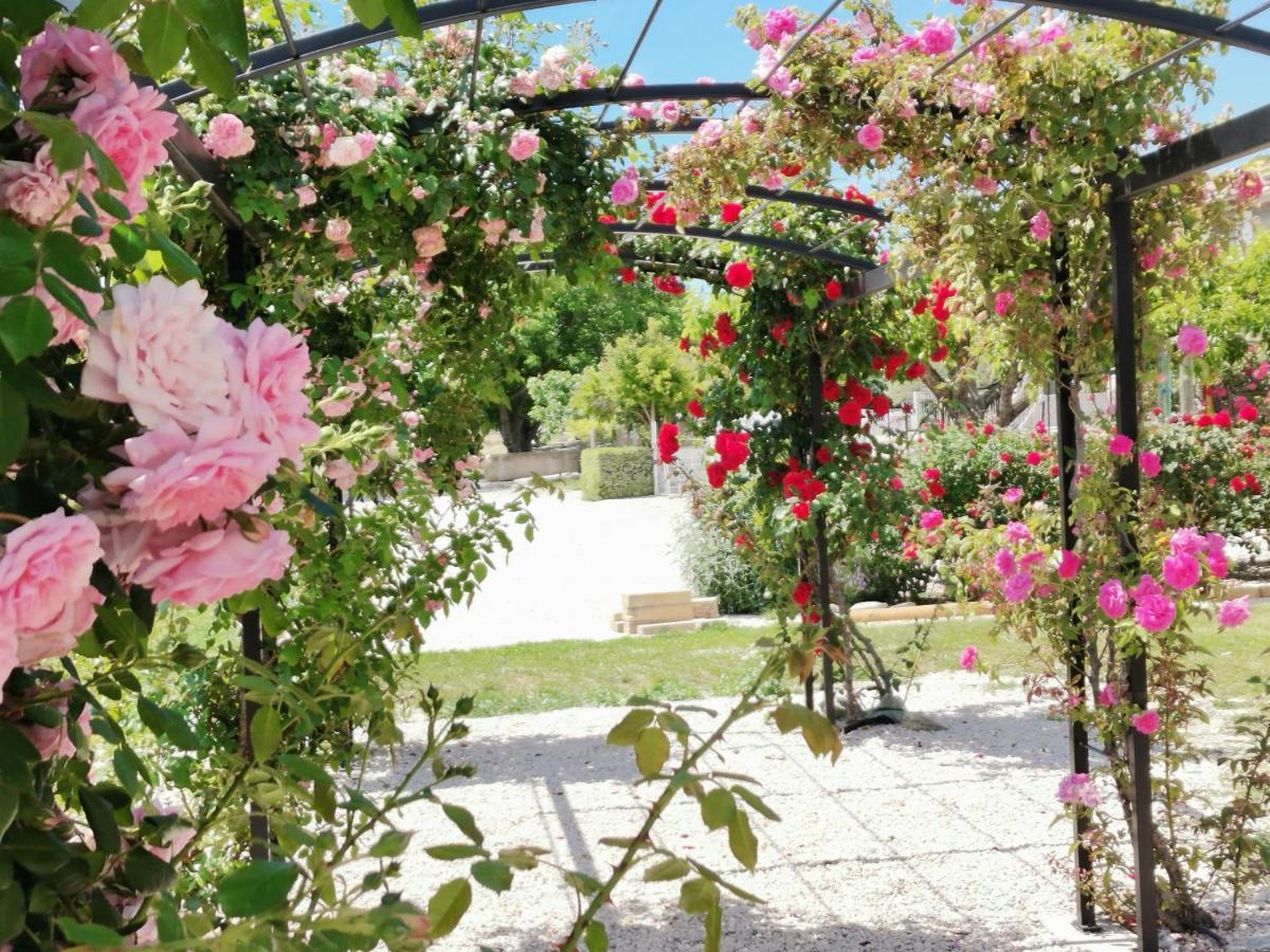 Gite En Provence "Rose" Modene Екстериор снимка