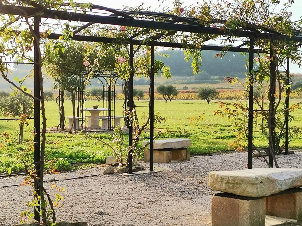 Gite En Provence "Rose" Modene Екстериор снимка