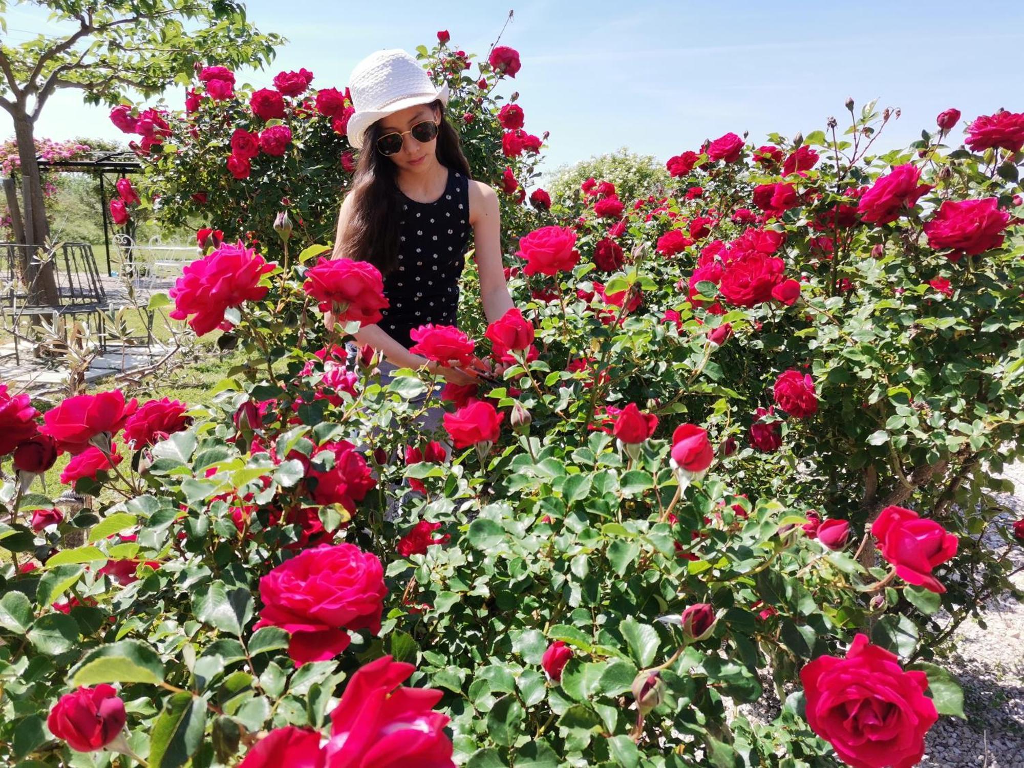 Gite En Provence "Rose" Modene Екстериор снимка