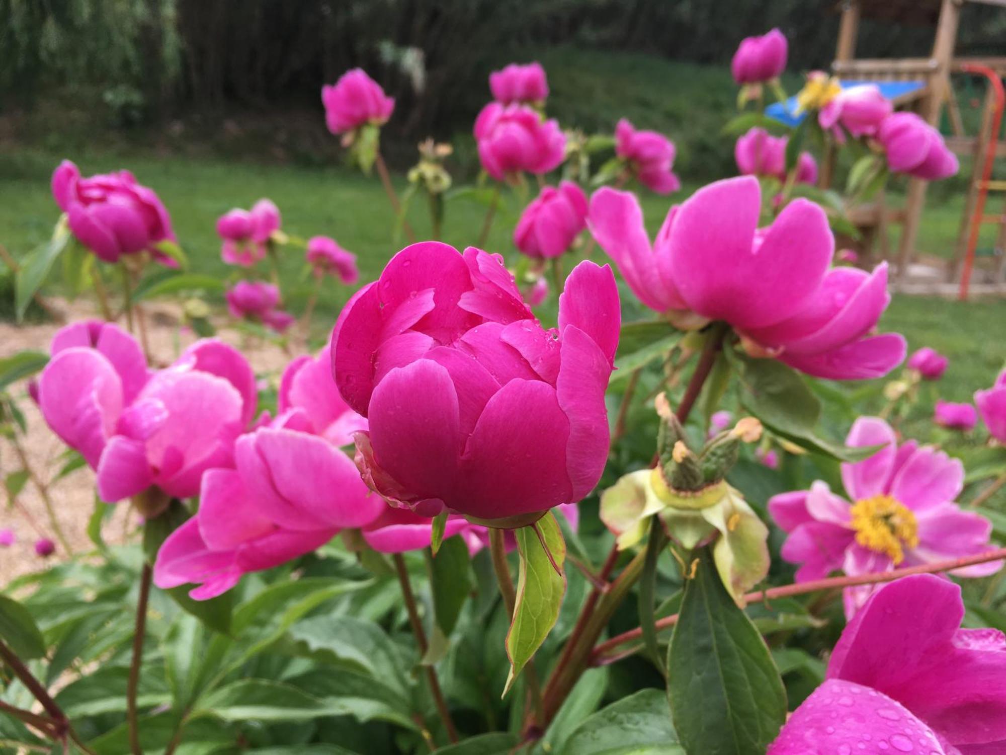 Gite En Provence "Rose" Modene Екстериор снимка