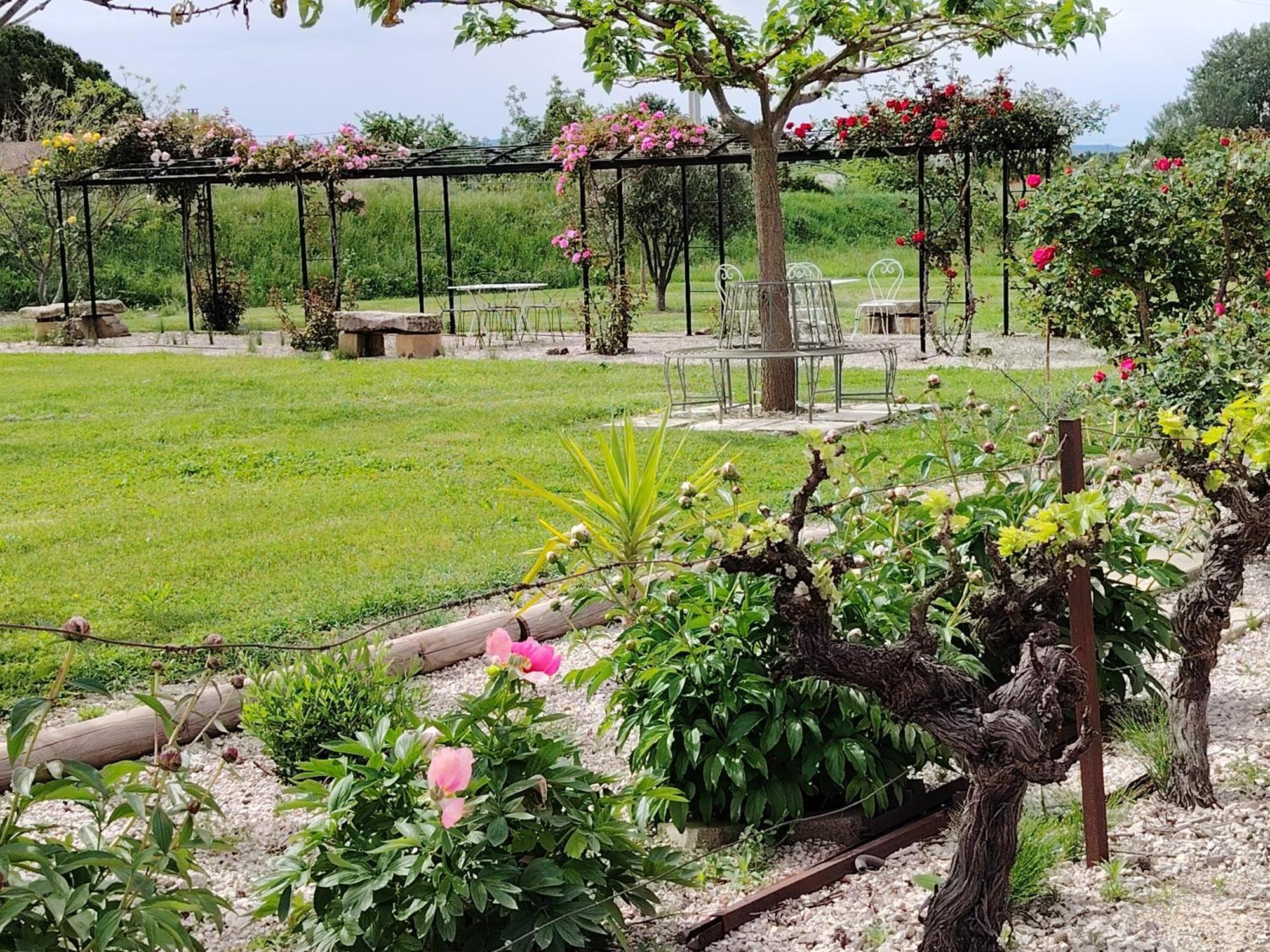 Gite En Provence "Rose" Modene Екстериор снимка